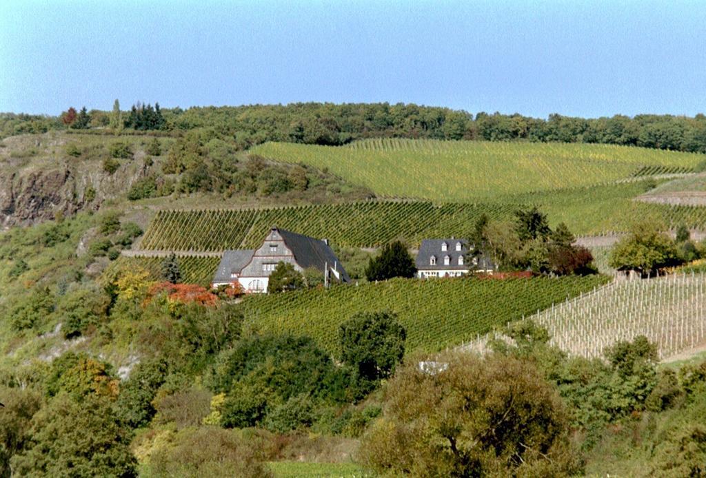 Gut Hermannsberg, Gaestehaus Niederhausen Dış mekan fotoğraf